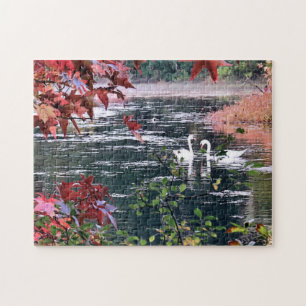 Puzzle - Zwans bij Jenney Pond Legpuzzel