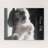 Puzzles Cat Kitten Bella Legpuzzel (Horizontaal)