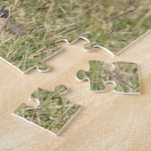 Puzzles Coyote Legpuzzel (Zijkant)