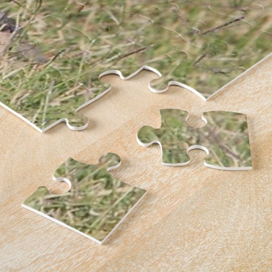 Puzzles Coyote Legpuzzel (Zijkant)