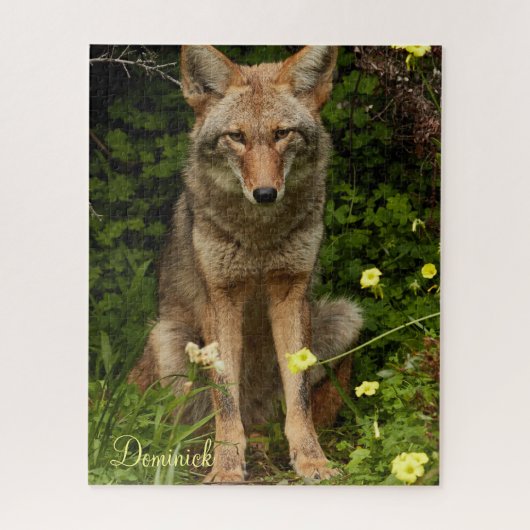 Puzzles Coyote Legpuzzel (Verticaal)