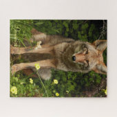 Puzzles Coyote Legpuzzel (Horizontaal)