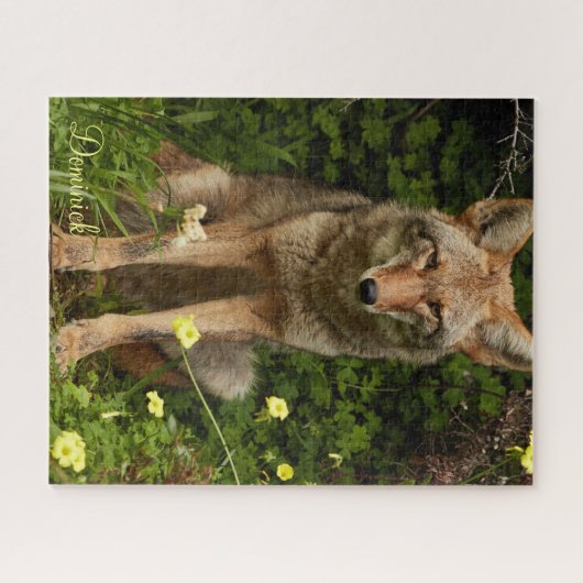 Puzzles Coyote Legpuzzel (Horizontaal)