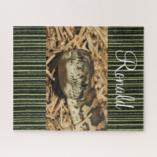 Puzzles Snake Green Legpuzzel (Horizontaal)