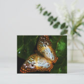 pvc - vlinderwerkkaart briefkaart (Staand voorkant)