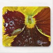 PW42 MUISMAT (Voorkant)