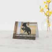 PWD agility jump verjaardagskaart Kaart (Gele Bloem)