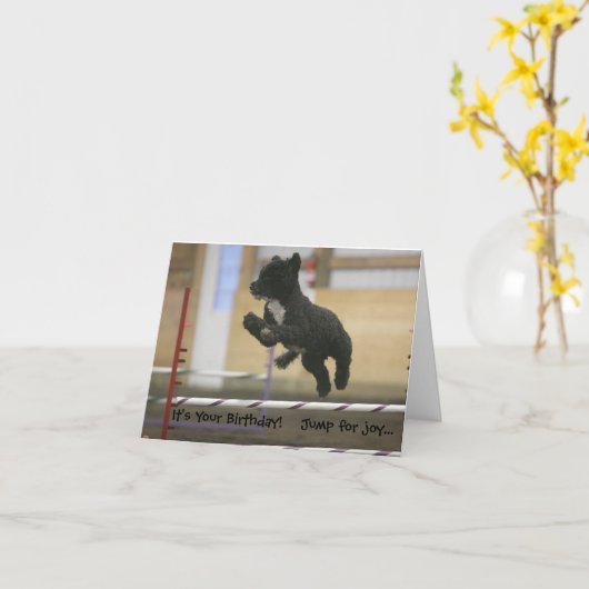 PWD agility jump verjaardagskaart Kaart (Gele Bloem)