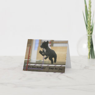 PWD agility jump verjaardagskaart Kaart