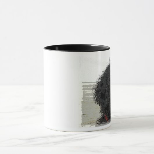 PWD op het strand Mok (Midden)