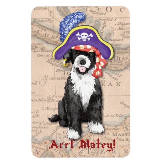 PWD Pirate Magneet (Verticaal)