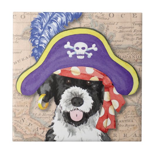 PWD Pirate Tegeltje (Voorkant)