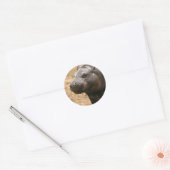 Pygmee Hippo Sticker (Envelop)