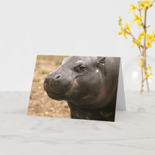 Pygmee Hippo-Wenskaart Kaart (Gele Bloem)