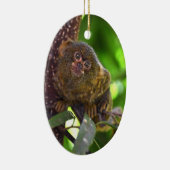 Pygmee Marmoset Magic Keramisch Ornament (Rechts)