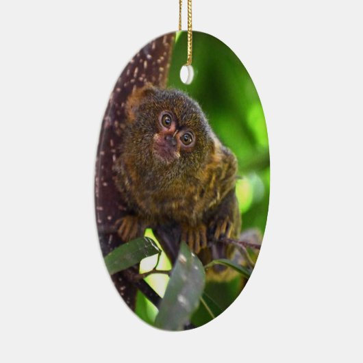 Pygmee Marmoset Magic Keramisch Ornament (Rechts)