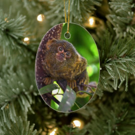 Pygmee Marmoset Magic Keramisch Ornament