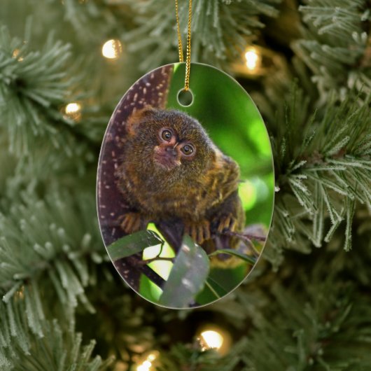 Pygmee Marmoset Magic Keramisch Ornament (Boom)