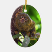 Pygmee Marmoset Magic Keramisch Ornament (Voorkant)