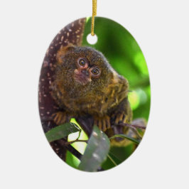 Pygmee Marmoset Magic Keramisch Ornament