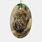 Pygmee Marmoset met Twins Keramisch Ornament (Links)