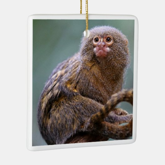 Pygmee Marmoset-Ornament Keramisch Ornament (Rechts)