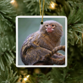 Pygmee Marmoset-Ornament Keramisch Ornament
