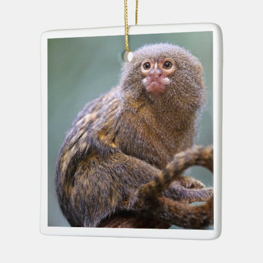 Pygmee Marmoset-Ornament Keramisch Ornament (Links)