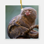 Pygmee Marmoset-Ornament Keramisch Ornament (Voorkant)