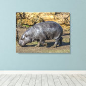 Pygmee nijlpaard in de dierentuin canvas print (Insitu (Houten vloer))