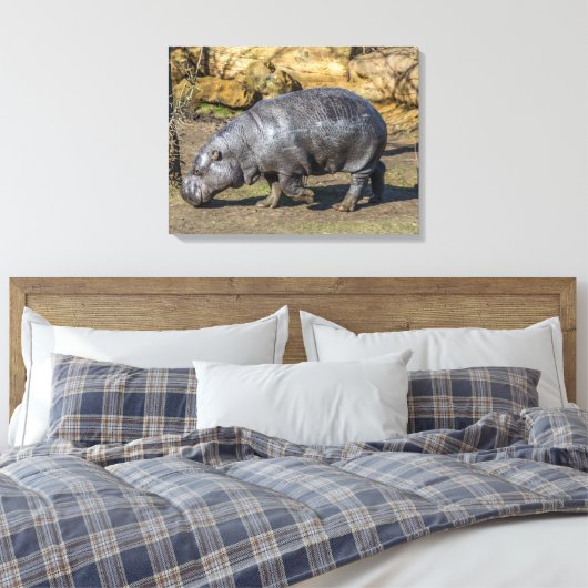 Pygmee nijlpaard in de dierentuin canvas print (Insitu (Slaapkamer))