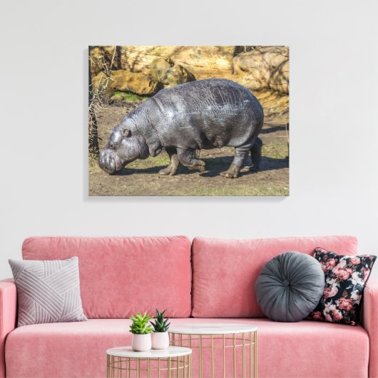 Pygmee nijlpaard in de dierentuin canvas print (Insitu (Woonkamer))