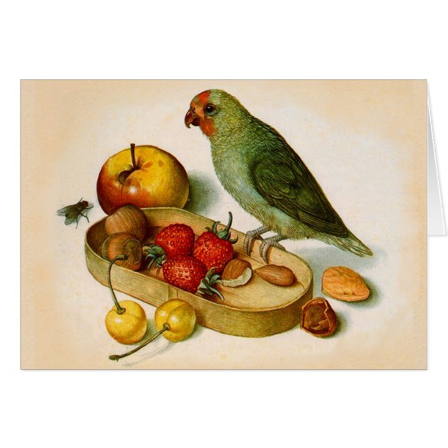 Pygmee papegaai met fruit en noten (Voorkant Horizontaal)