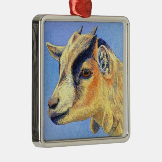 Pygmeegeit Ornament (Rechts)