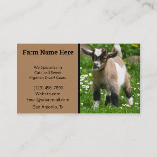 Pygmy Dwarf Goat Breeder Visitekaartje