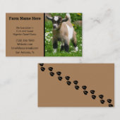Pygmy Dwarf Goat Breeder Visitekaartje (Voorkant / Achterkant)