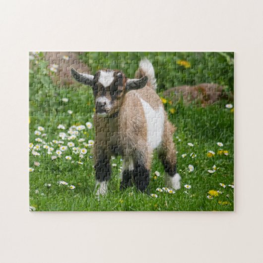 Pygmy Dwarf Goat Kind in Flowers Legpuzzel (Horizontaal)
