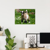 Pygmy Dwarf Goat Kind in Flowers Poster (Thuiskantoor)