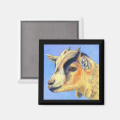 Pygmy geitenmagneet - "zonnige geit" magneet (Voorkant / Achterkant)