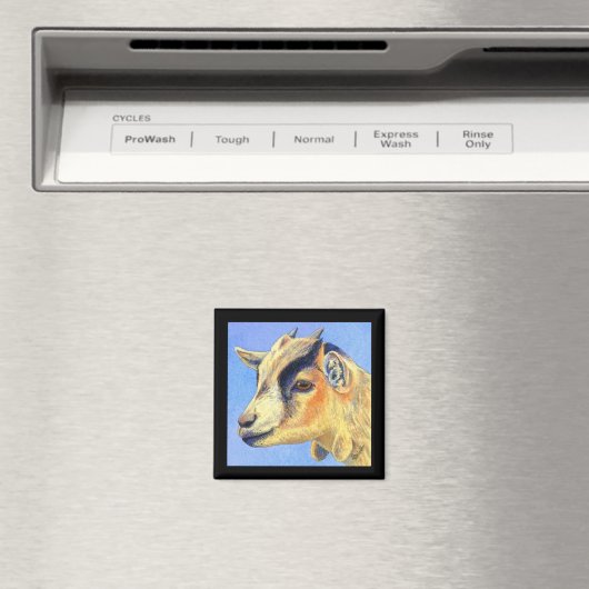 Pygmy geitenmagneet - "zonnige geit" magneet (Insitu (Vaatwasser))