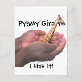 Pygmy Giraffe Briefkaart (Voorkant)