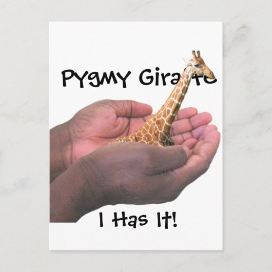 Pygmy Giraffe Briefkaart (Voorkant)