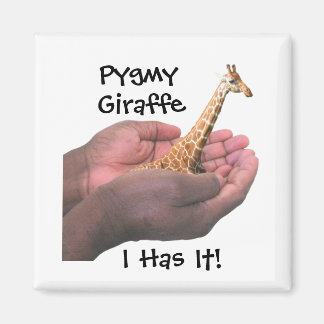 Pygmy Giraffe Magneet