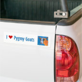 Pygmy Goat Bumpersticker (Op Truck)