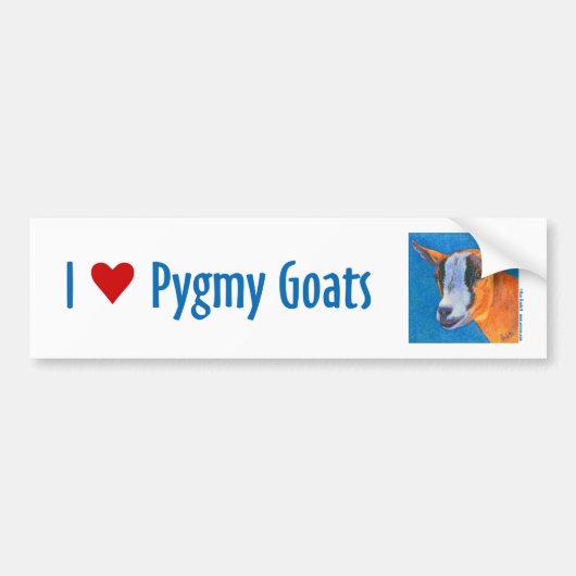 Pygmy Goat Bumpersticker (Voorkant)