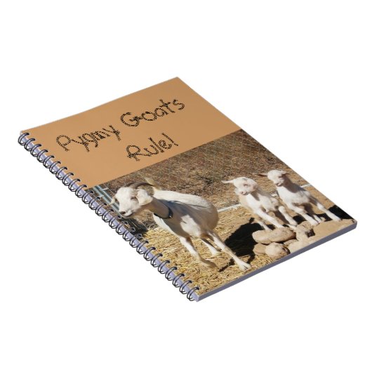 Pygmy Goat Family Notitieboek (Rechterzijde)