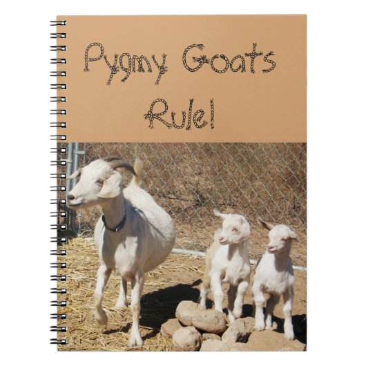 Pygmy Goat Family Notitieboek (Voorkant)
