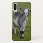 Pygmy Goat iPhone X Hoesje (Achterkant)