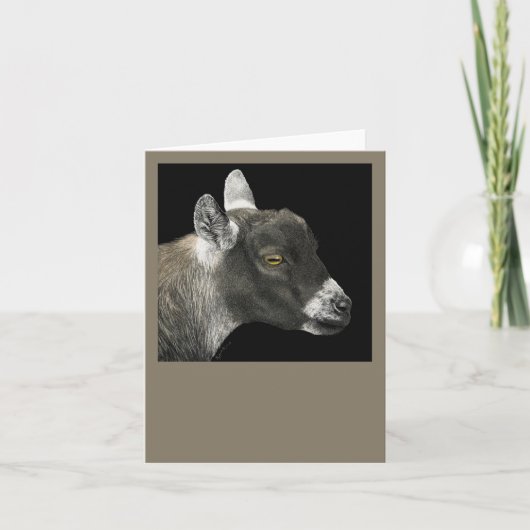 Pygmy Goat Kaart - "Show geit" (Voorkant)