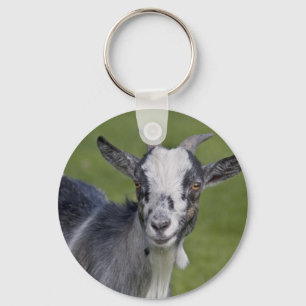 Pygmy Goat Keyring Sleutelhanger
